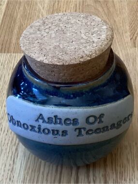 Ceramic Word Jar Handmade Tumbleweed Pottery NC “Ashes Of Obnoxious Teenagers”